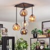 Ripoll Taklampa, kullampa Amber, Klart, Rökfärger, 5-ljuskällor