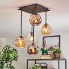 Ripoll Taklampa, kullampa Amber, Klart, Rökfärger, 5-ljuskällor