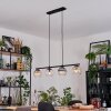 Koyoto Pendellampa, kullampa, Pendelbelysning Amber, Klart, Rökfärger, 4-ljuskällor