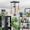Ripoll Taklampa, kullampa Amber, Rökfärger, 5-ljuskällor