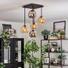 Ripoll Taklampa, kullampa Amber, Rökfärger, 5-ljuskällor