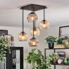 Koyoto Taklampa, kullampa Amber, Klart, Rökfärger, 5-ljuskällor