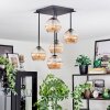 Koyoto Taklampa, kullampa Amber, 5-ljuskällor