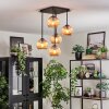 Koyoto Taklampa, kullampa Amber, 5-ljuskällor