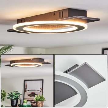 Lidor Taklampa LED Svart, Silver, 1-ljuskällor