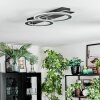 Lidor Taklampa LED Svart, Silver, 1-ljuskällor