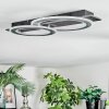 Lidor Taklampa LED Svart, Silver, 1-ljuskällor