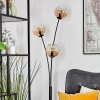 Koyoto kullampa, Golvlampa Amber, Klart, 3-ljuskällor