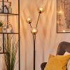 Koyoto kullampa, Golvlampa Amber, Klart, 3-ljuskällor