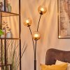 Koyoto kullampa, Golvlampa Amber, Klart, 3-ljuskällor