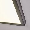 Isela Taklampa, Panel LED Svart, 1-ljuskällor