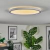 Xarel Taklampa, Panel LED Vit, 1-ljuskällor