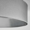 Elmar Taklampa, Panel LED Silver, 1-ljuskällor