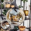 Ripoll Pendellampa, kullampa, Pendelbelysning Amber, Klart, Rökfärger, 6-ljuskällor