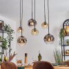 Ripoll Pendellampa, kullampa, Pendelbelysning Amber, Klart, Rökfärger, 6-ljuskällor