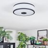 Elran Taklampa LED Svart, Vit, 1-ljuskällor