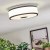 Elran Taklampa LED Svart, Vit, 1-ljuskällor