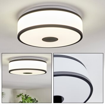 Elran Taklampa LED Svart, Vit, 1-ljuskällor