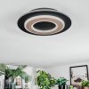 Lidor Taklampa LED Svart, 1-ljuskällor