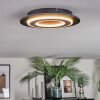 Lidor Taklampa LED Svart, 1-ljuskällor