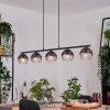 Koyoto Pendellampa, kullampa, Pendelbelysning Klart, Rökfärger, 5-ljuskällor