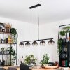 Koyoto Pendellampa, kullampa, Pendelbelysning Klart, Rökfärger, 5-ljuskällor