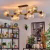 Koyoto Taklampa, kullampa Guld, Svart, 10-ljuskällor