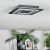 Lidor Taklampa LED Svart, 1-ljuskällor