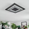 Lidor Taklampa LED Svart, 1-ljuskällor