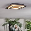 Lidor Taklampa LED Svart, 1-ljuskällor