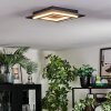 Lidor Taklampa LED Svart, 1-ljuskällor