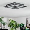 Lidor Taklampa LED Svart, 1-ljuskällor