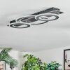 Lidor Taklampa LED Krom, Svart, 1-ljuskällor