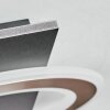 Lidor Taklampa LED Svart, 1-ljuskällor