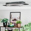 Lidor Taklampa LED Svart, 1-ljuskällor