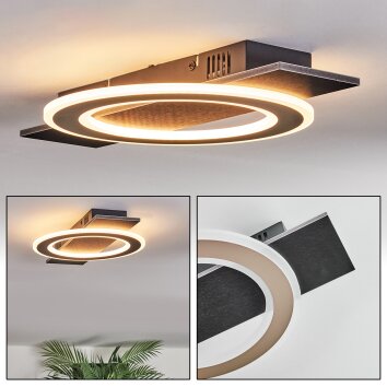 Lidor Taklampa LED Svart, 1-ljuskällor