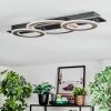 Lidor Taklampa LED Krom, Svart, 1-ljuskällor