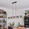 Gastor Pendellampa, kullampa, Pendelbelysning Blå, Grön, Klart, Kopparfärg, 5-ljuskällor