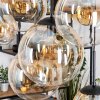 Gastor Pendellampa, kullampa, Pendelbelysning Amber, Klart, 8-ljuskällor