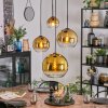 Koyoto Pendellampa, kullampa, Pendelbelysning 35 cm Guld, Klart, 4-ljuskällor