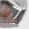 Ripoll Taklampa, kullampa Amber, Klart, Rökfärger, 5-ljuskällor