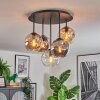 Ripoll Taklampa, kullampa Amber, Klart, Rökfärger, 5-ljuskällor