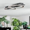 Lidor Taklampa LED Svart, 1-ljuskällor