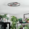 Hadel Taklampa LED träoptik, Svart, 1-ljuskällor