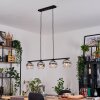 Koyoto Pendellampa, kullampa, Pendelbelysning Krom, Klart, Rökfärger, 4-ljuskällor