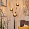 Koyoto kullampa, Golvlampa Klart, Rökfärger, 3-ljuskällor