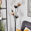 Koyoto kullampa, Golvlampa Amber, Klart, Rökfärger, 5-ljuskällor