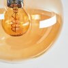 Gastor Taklampa, kullampa Amber, Rökfärger, 5-ljuskällor