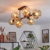 Ripoll Taklampa, kullampa Amber, 8-ljuskällor