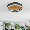Guine Taklampa LED Guld, Svart, 1-ljuskällor